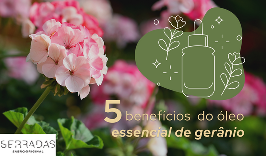 5 benefícios do óleo essencial de gerânio 