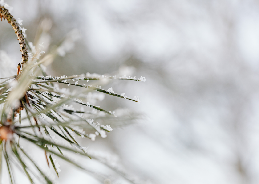🌿 Como cuidar da pele seca no inverno
