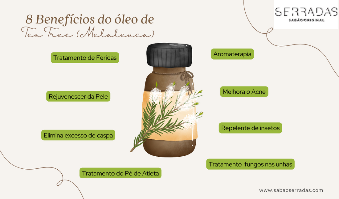 8 Benefícios de Óleo Essencial Tea Tree (Melaleuca)