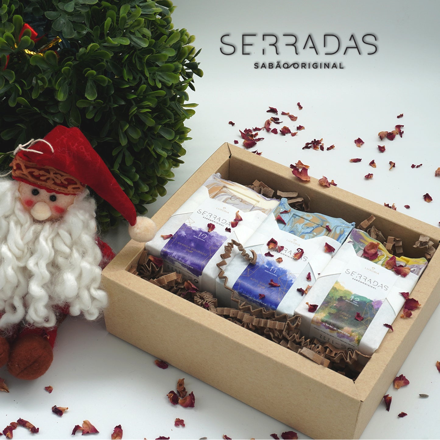 🎅 Kit Completo Pele Madura