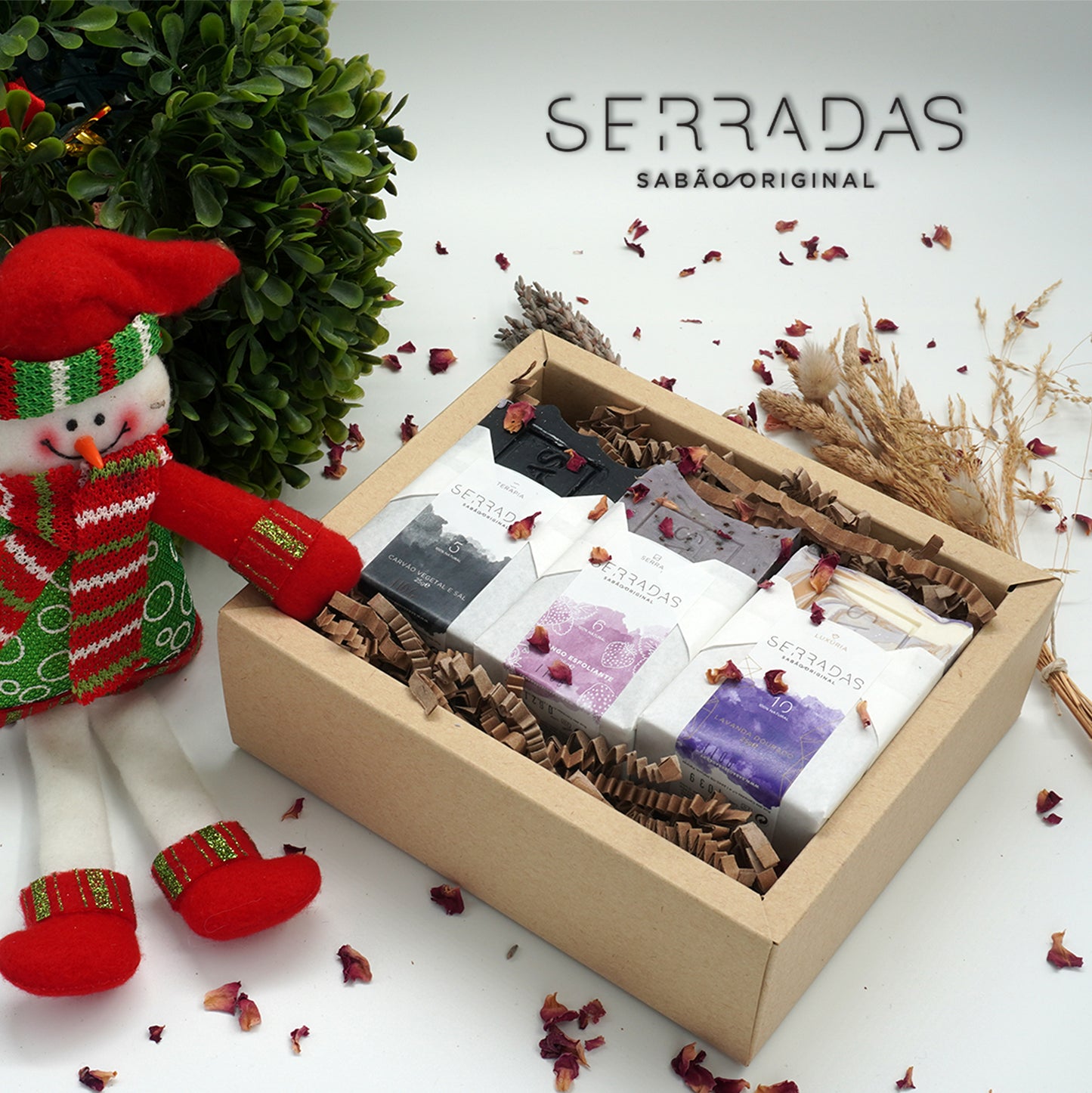 🎅 Kit Completo Pele Perfeita