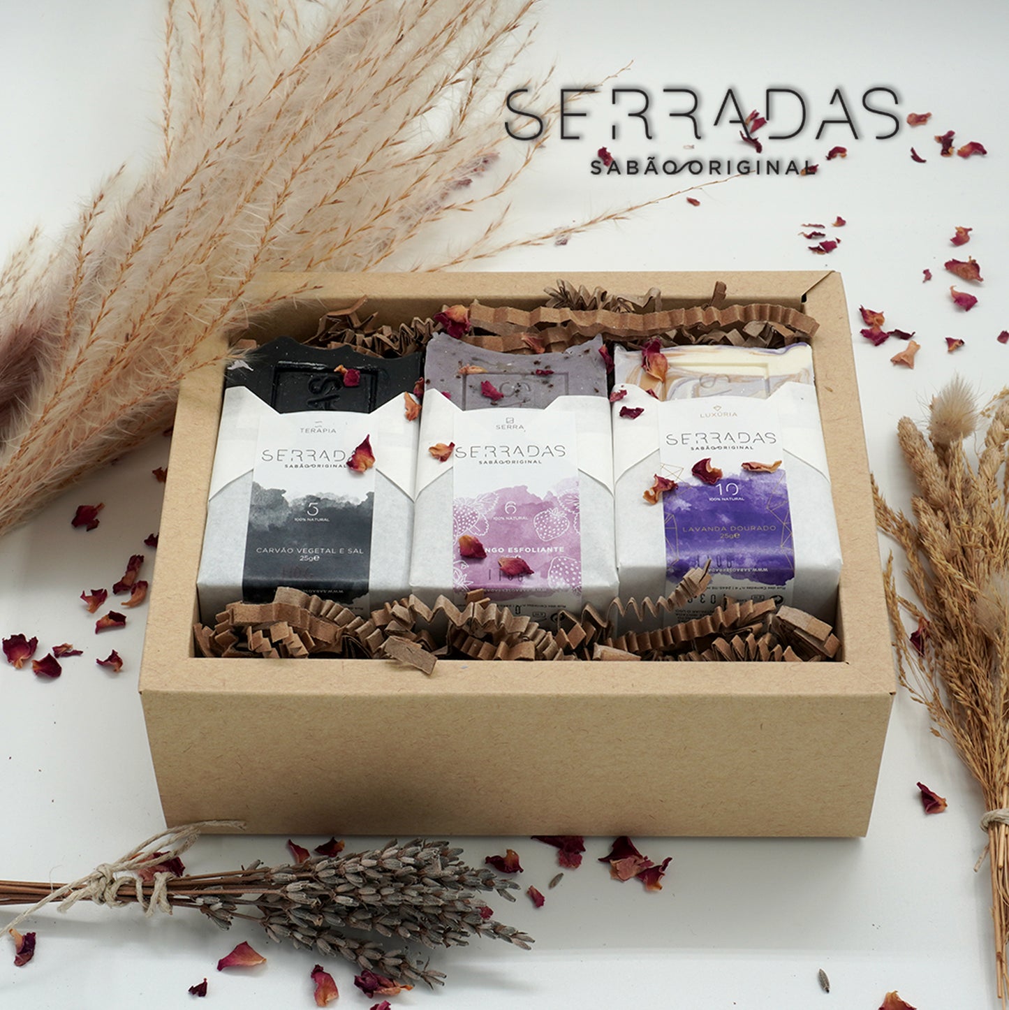 🎅 Kit Completo Pele Perfeita